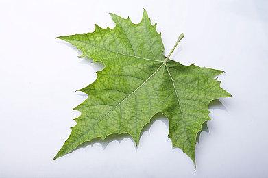 《龙之信条2》新补丁上线 增加及调整仓库功能